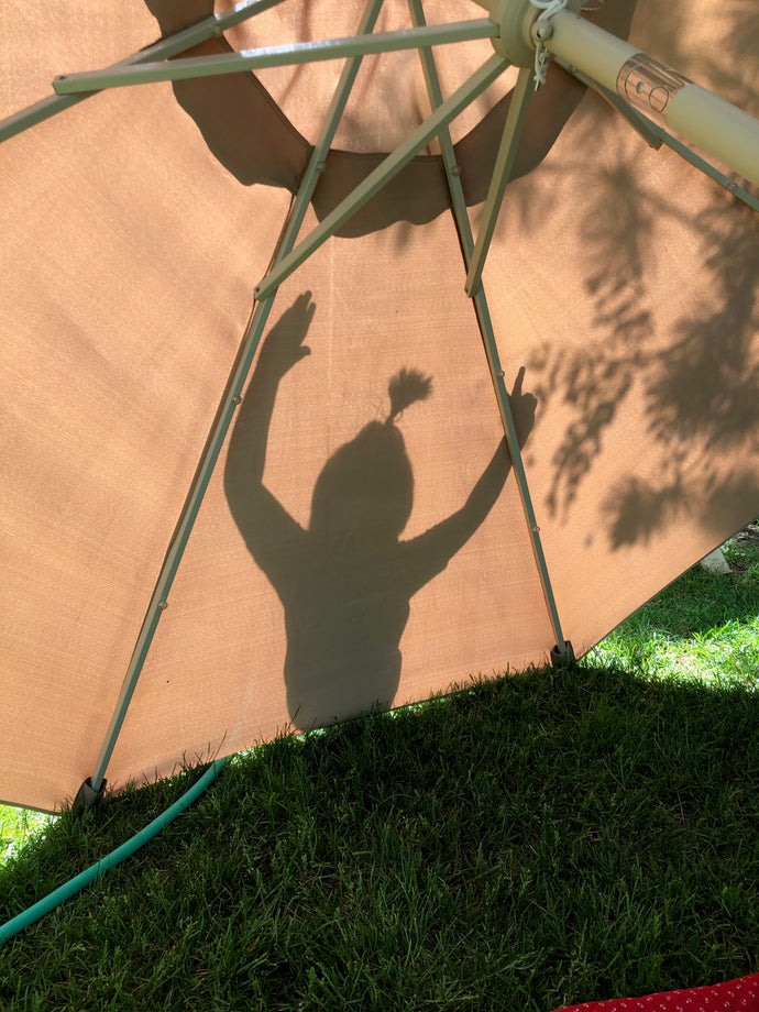 Celebrate the Creative - Summer Sun Shadow Shows!