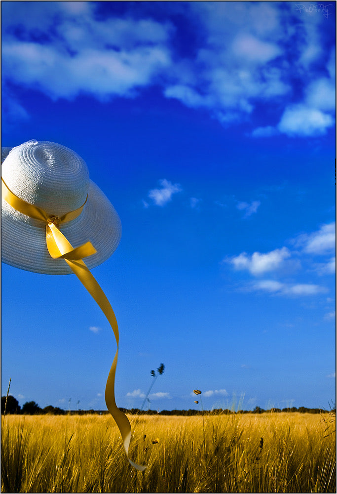 A 'Protection Story' For Uncertain Times.