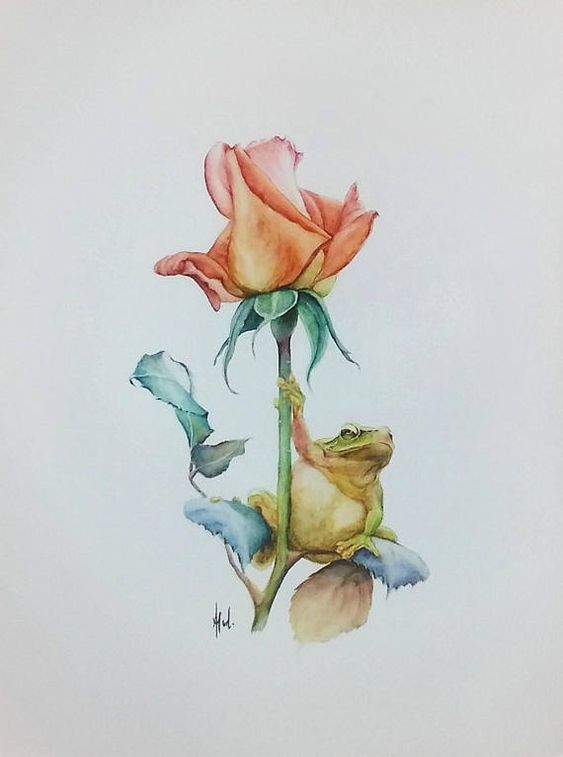 A Summer Tale -  Frog and Rose by Suzanne Down
