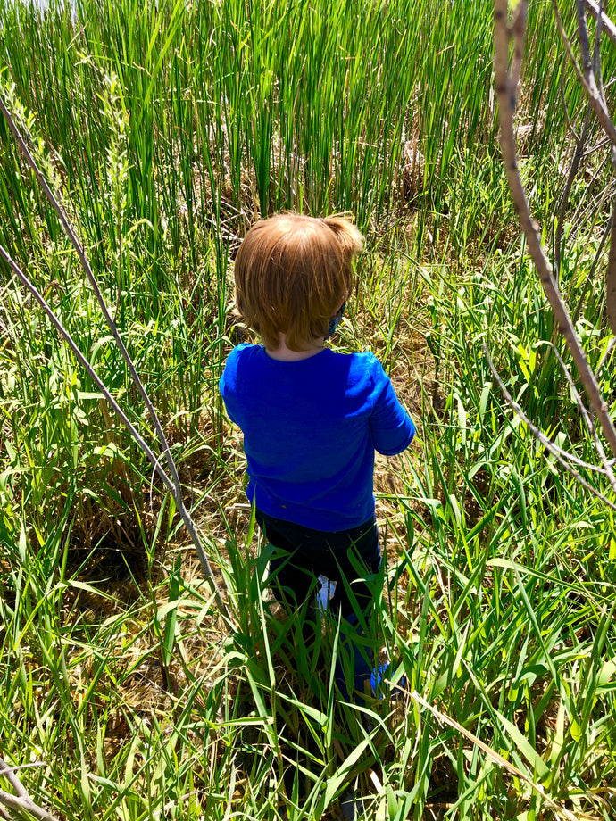 Celebrate the Creative - A Child and His Pond - A Living Story World.