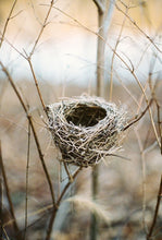 The 3-day Free Online Challenge Course - Creating Outdoor Shelter Puppet Stories for Children November 10,11,12