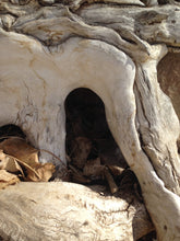 The 3-day Free Online Challenge Course - Creating Outdoor Shelter Puppet Stories for Children November 10,11,12